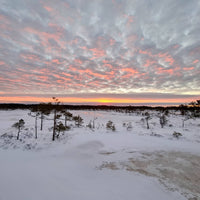 SAULRIETA PIEDZĪVOJUMS PURVĀ AR PURVA KURPĒM (6723638329525) (9299005735254) (6617321767093) (6617399853237)