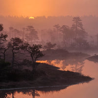 DĀVANU KARTE SAULLĒKTA PĀRGĀJIENS PURVĀ