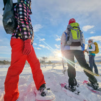 SAULLĒKTA PĀRGĀJIENS AR PURVA KURPĒM UN BROKASTIS (5748534116515) (9298974638422)